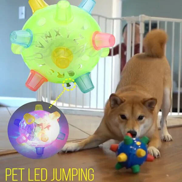 New Jumping Activation Ball For Dogs - Image 4