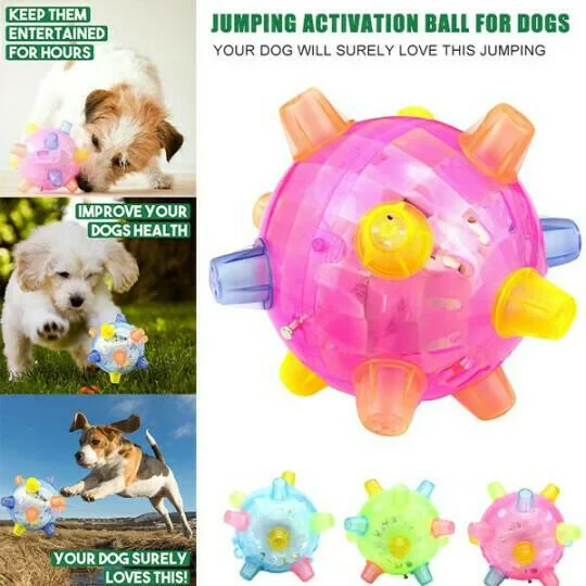 New Jumping Activation Ball For Dogs - Image 2
