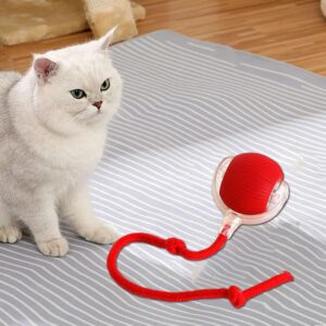 Smart Interactive Dog and Cat Ball – Rechargeable Pet Toy for Endless Fun